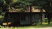 Small houses for 2, 3, 4 peoples are located in a wood among the Crimean pin