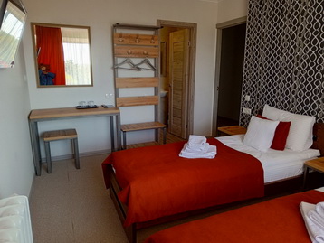 Twin superior room